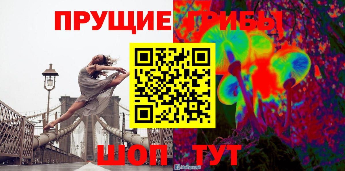 Псилоцибиновые грибы мицелий Йошкар-Ола