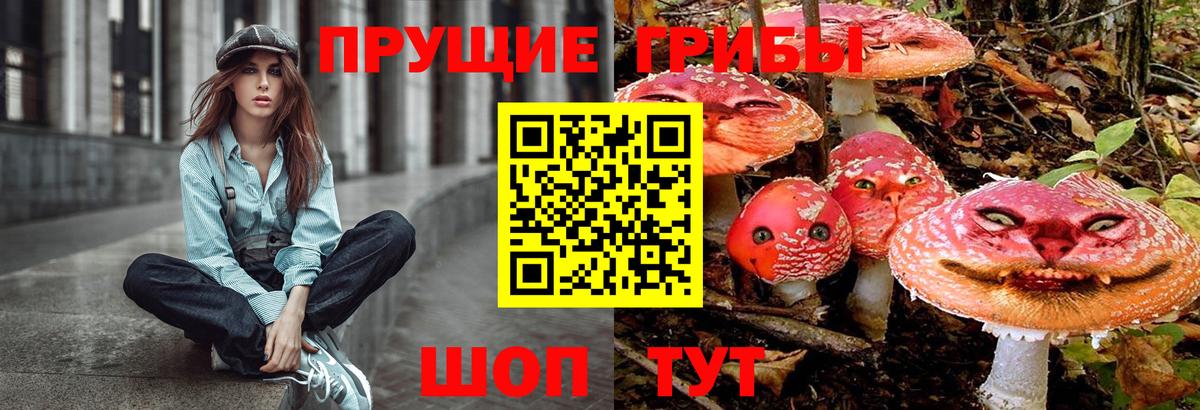 Йошкар-Ола  Псилоцибиновые грибы Psilocybe  Вход с VPN 